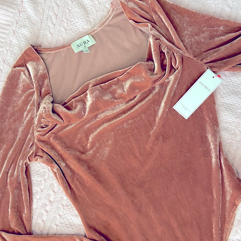 Red Dress Boutique Velvet Long Sleeve Bodysuit in Dusty Rose